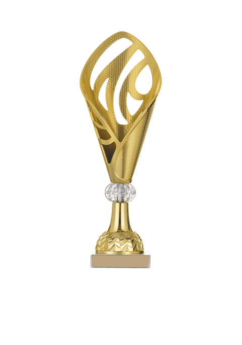 https://cricketdolphins.ca/wp-content/uploads/2022/11/trophy_03.png